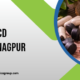 Ayurvedic PCD Company in Nagpur